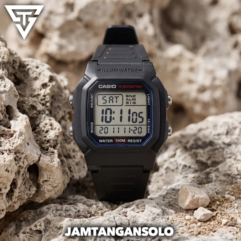 Casio W800-H 1AVDF Original