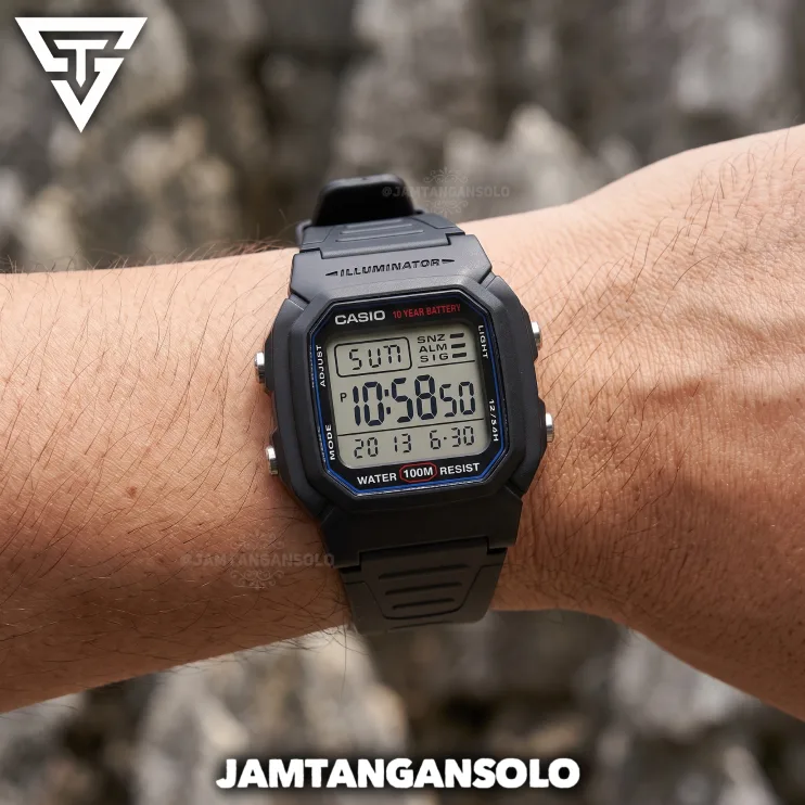 Casio W800-H 1AVDF Original